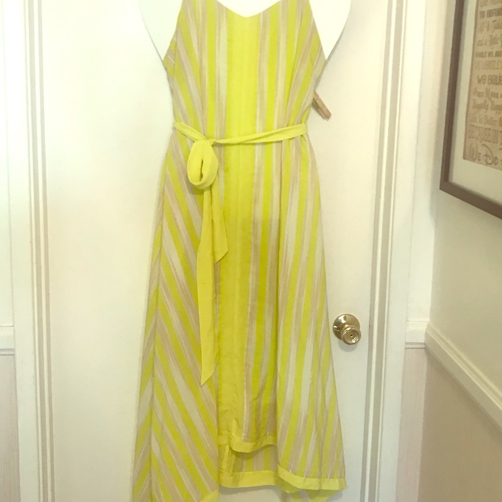 Lane Bryant Cute summer dress